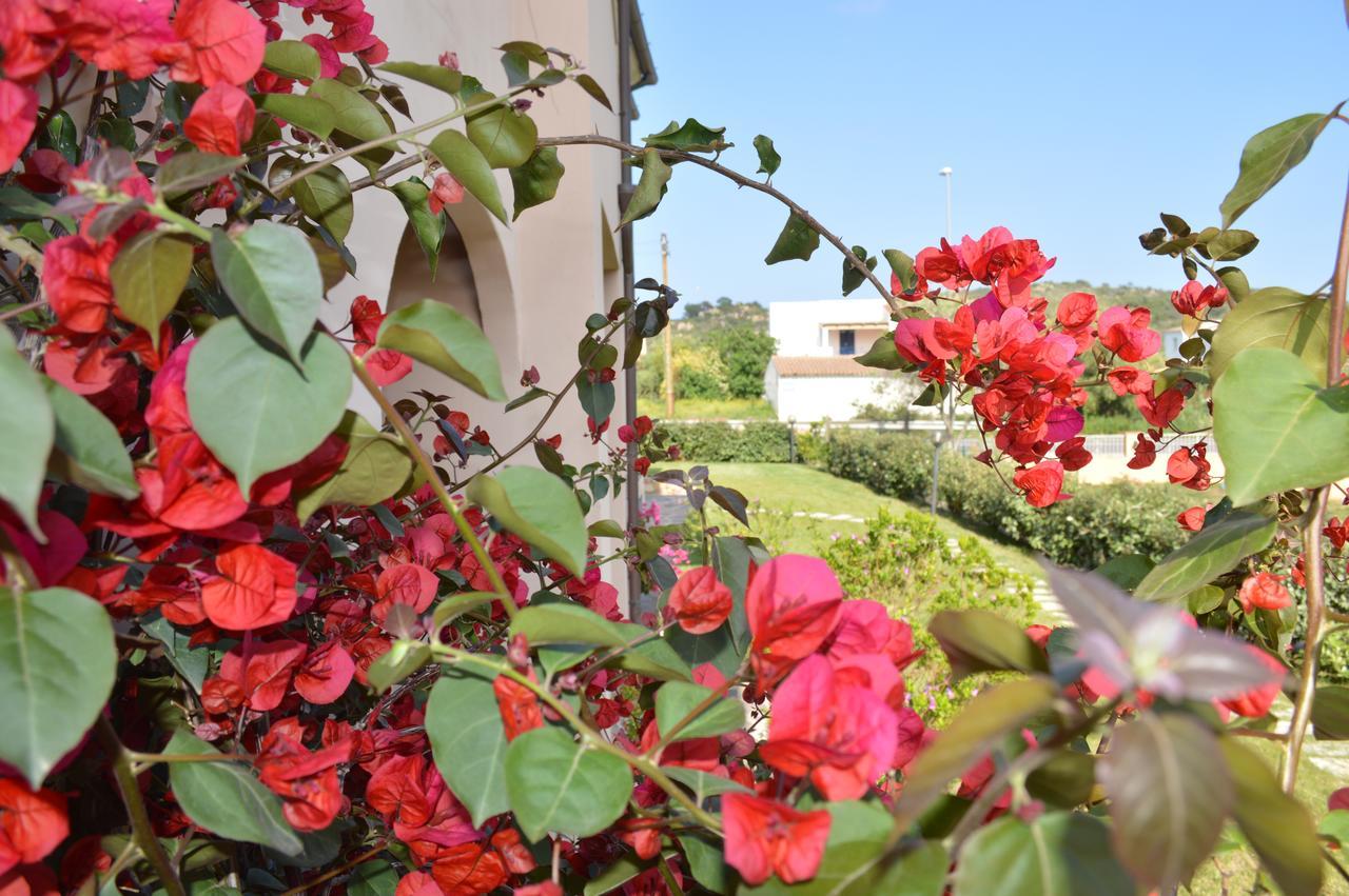 Guest Rooms Affittacamere 산테오도로 외부 사진